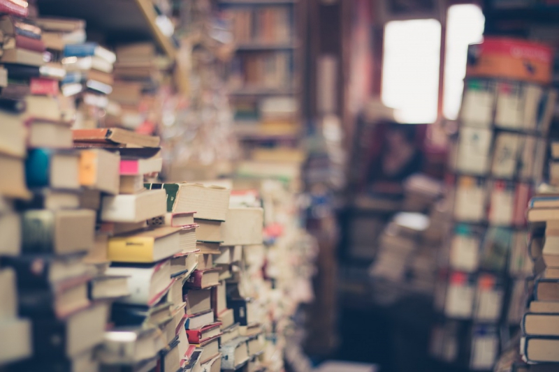 vente-ST MARTIN DU VAR-min_books_stack_book_store_stack_of_books_2nd_hand_retro_hipster_shop-829090